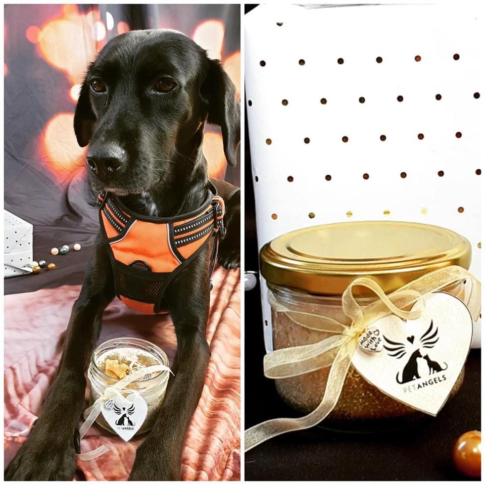 Petangels Spendenaktion
